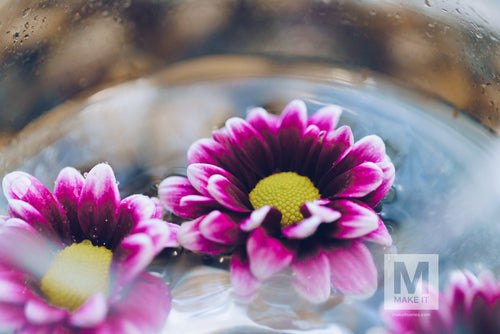 Unlock Your Life Through The Power of Vulnerability