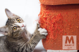 7 Ways To Go On Vacation And Have Your Cat Still Love You!
